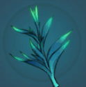Pureheart Lotus
